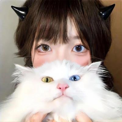 甄嬛传
