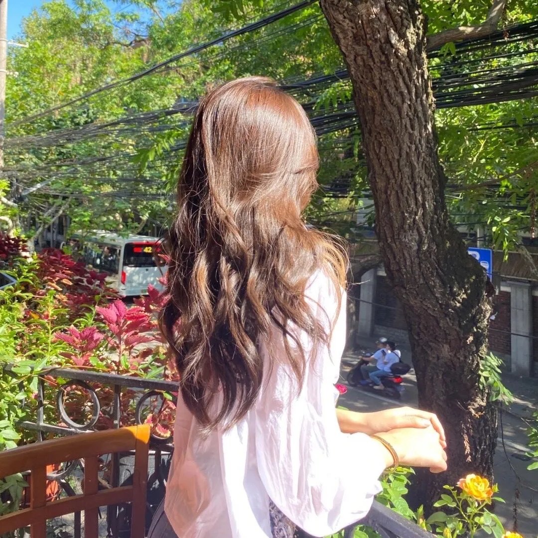 僵尸飞鲨